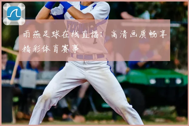 雨燕足球在线直播：高清画质畅享精彩体育赛事