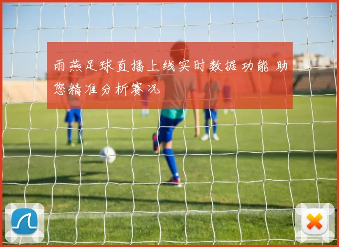 雨燕足球直播上线实时数据功能 助您精准分析赛况