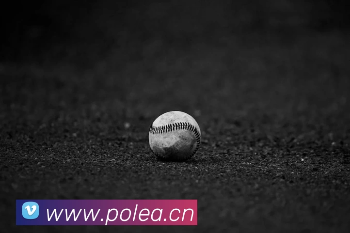 九游体育官方下载入口平台生态图